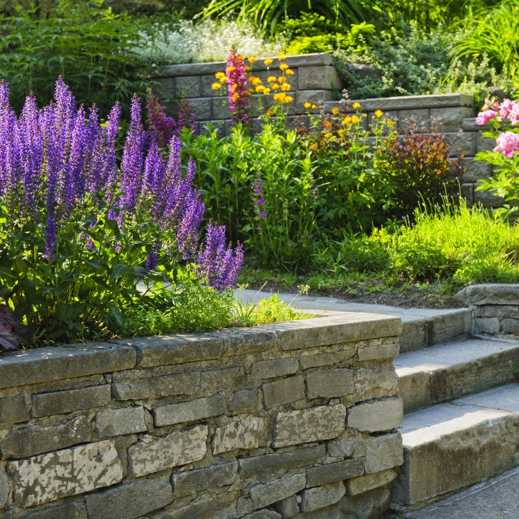 Landscaping Services in Pittsburgh, PA
