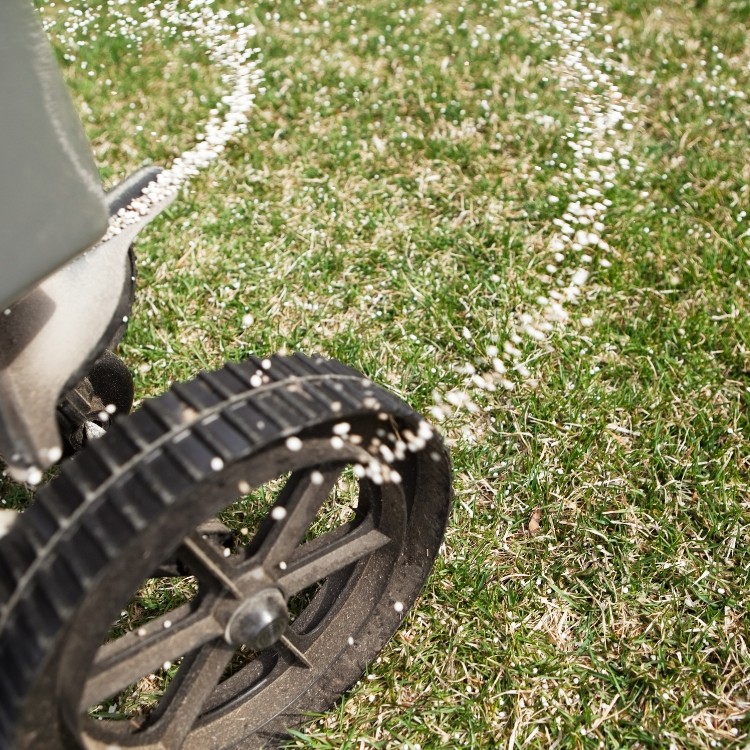 Landscaping Services in Pittsburgh, PA